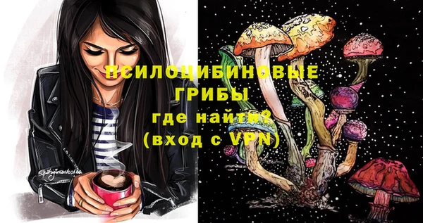 метадон Богданович